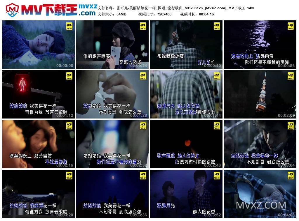 张可儿-美丽姑娘花一样_国语_流行歌曲_MB203126